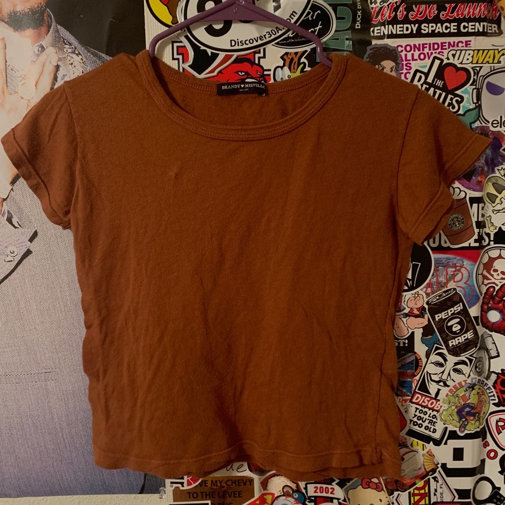 COPY - Brandy melville rust brown colored baby tee